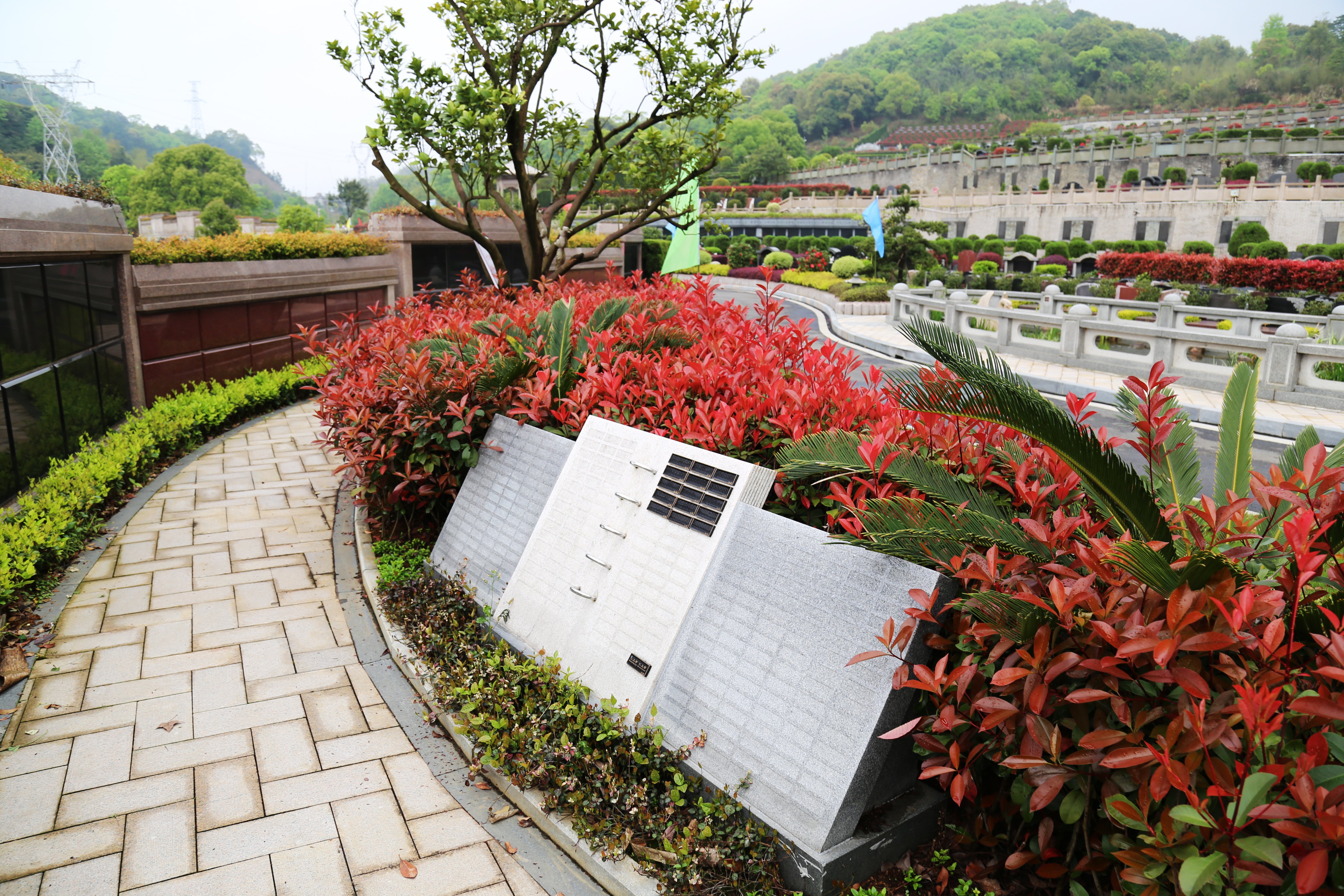 BC贷·(中国游)官方网站