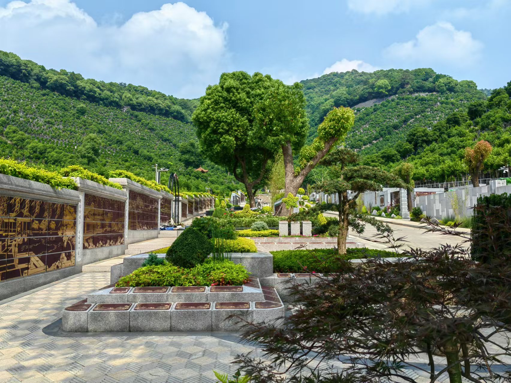 引领绿色生态新民俗，，，，共筑生命协调家园