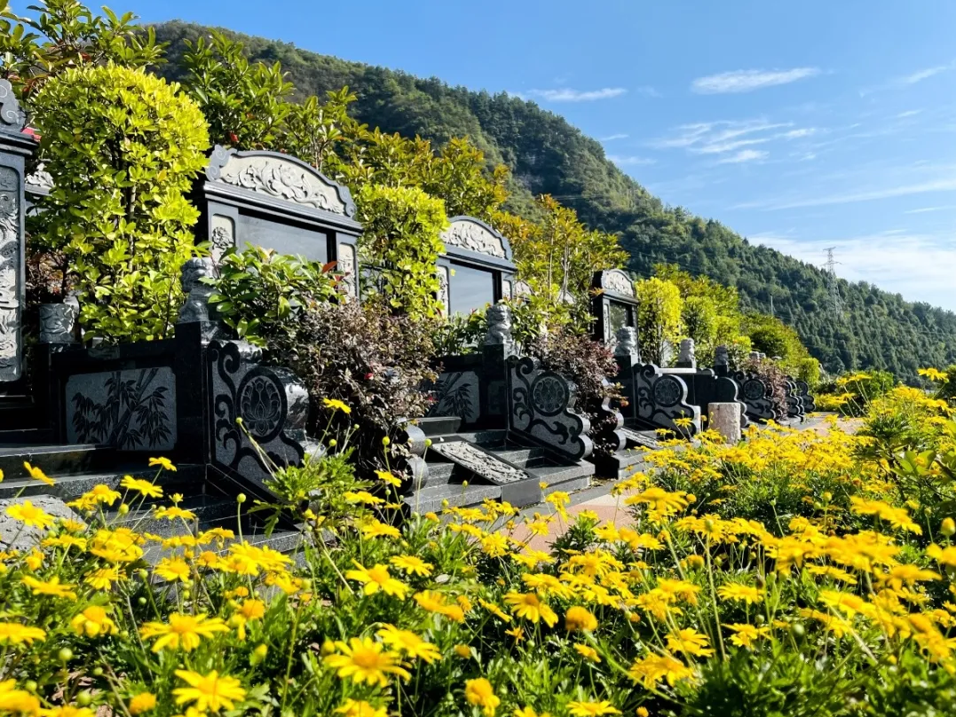 BC贷·(中国游)官方网站