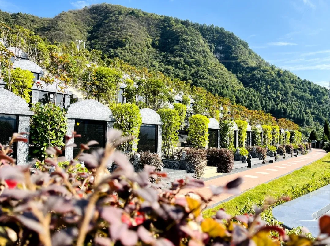 BC贷·(中国游)官方网站