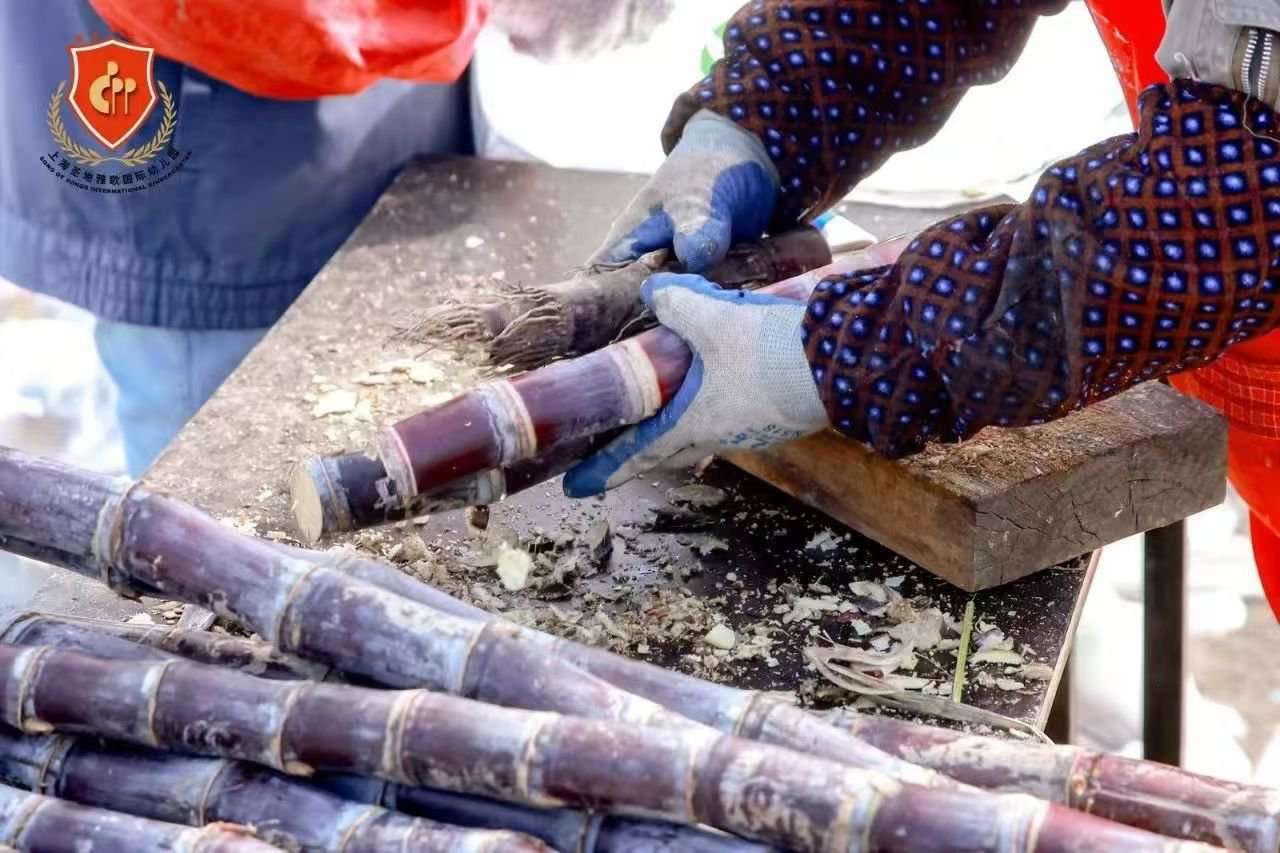 BC贷·(中国游)官方网站