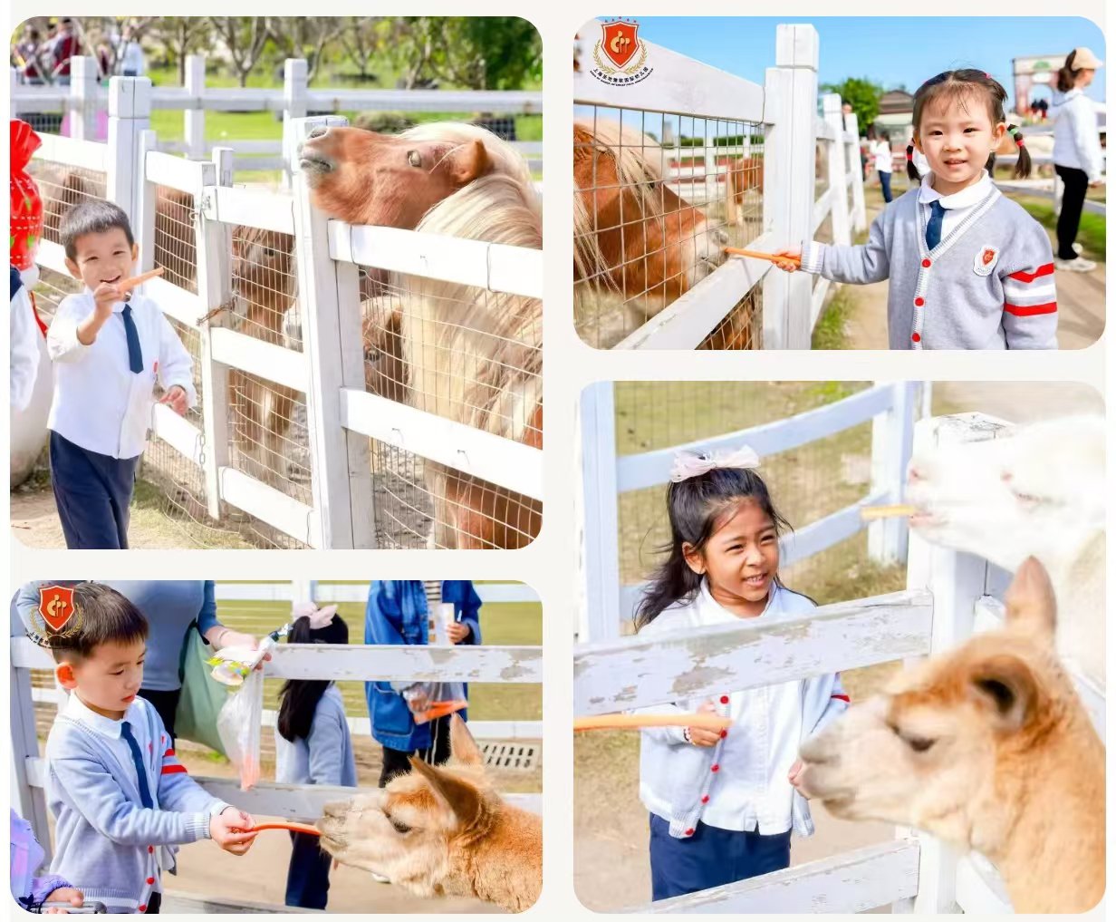 BC贷·(中国游)官方网站