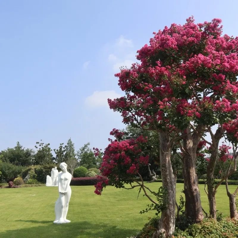 BC贷·(中国游)官方网站