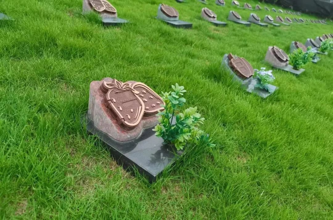 BC贷·(中国游)官方网站