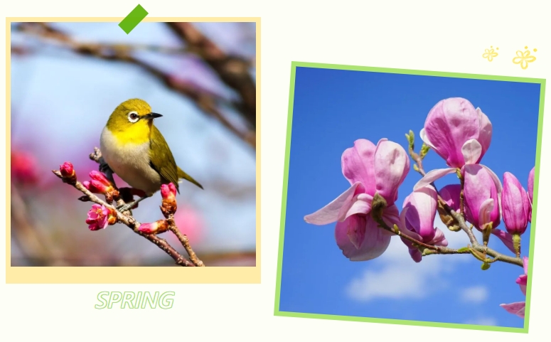 BC贷·(中国游)官方网站