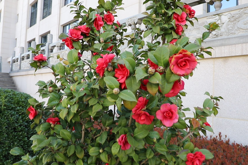 BC贷·(中国游)官方网站