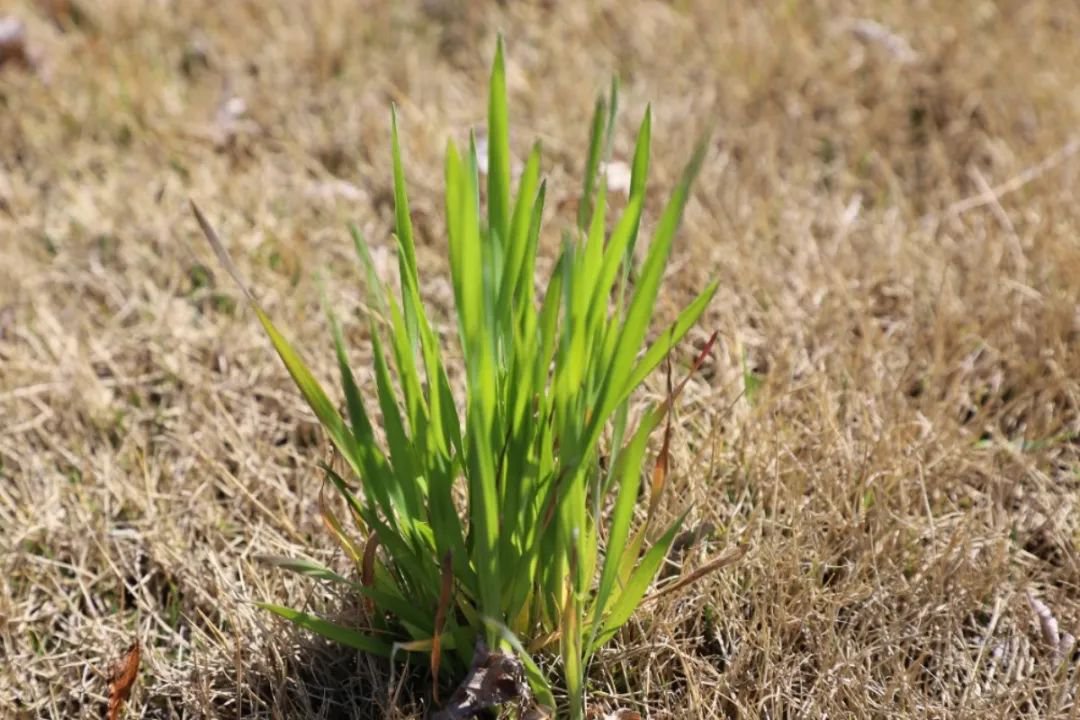 BC贷·(中国游)官方网站