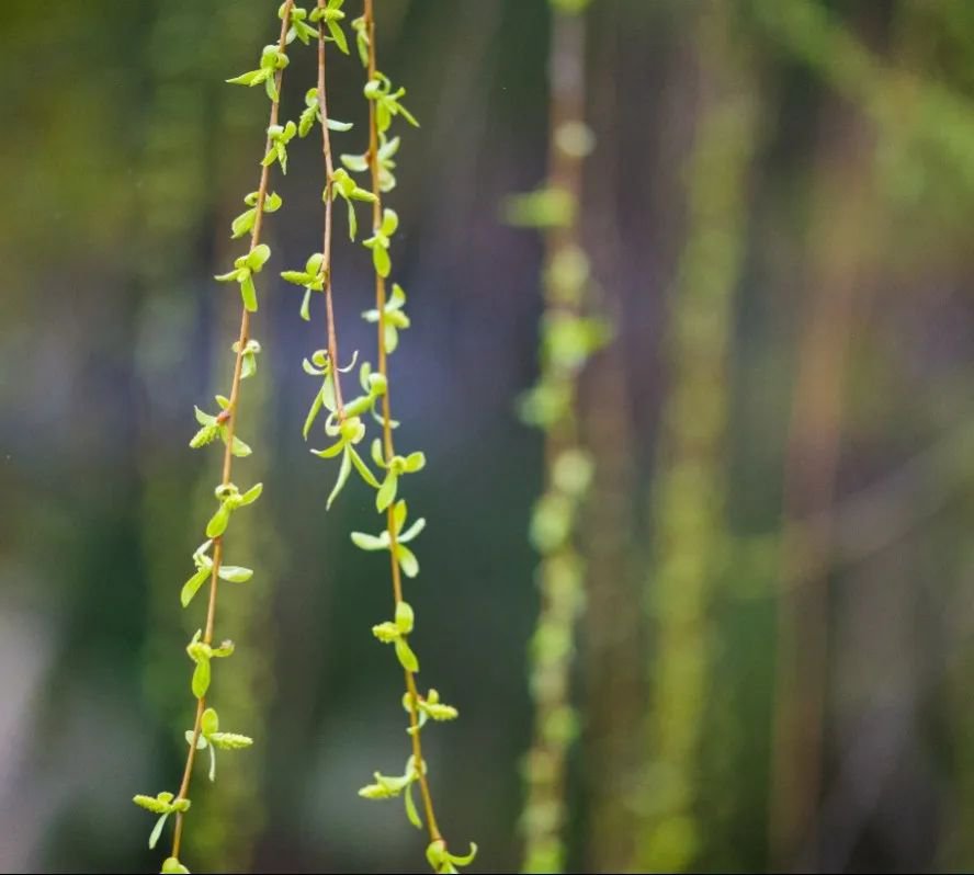 BC贷·(中国游)官方网站