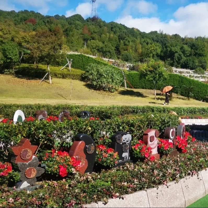 BC贷·(中国游)官方网站