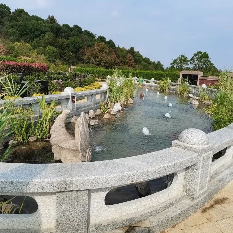 BC贷·(中国游)官方网站