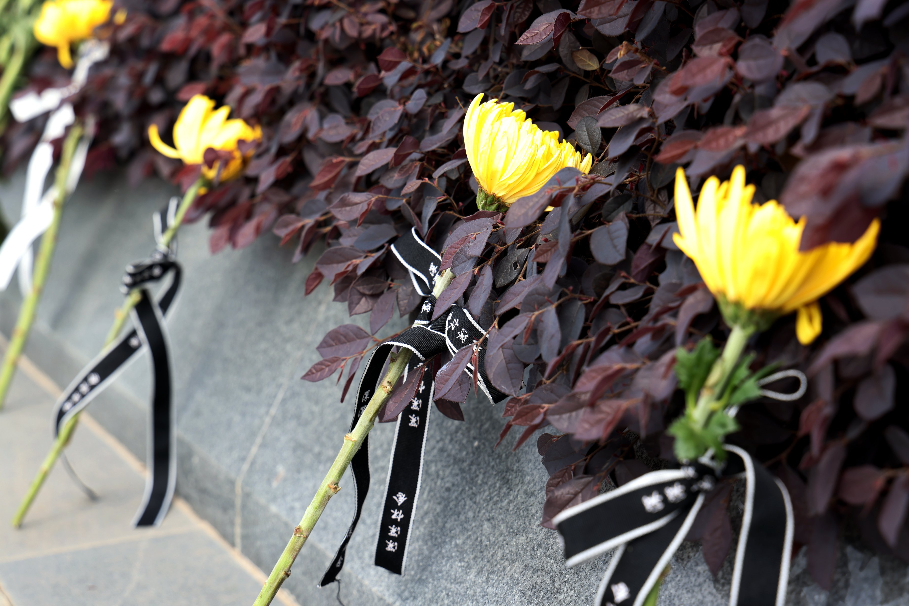 BC贷·(中国游)官方网站