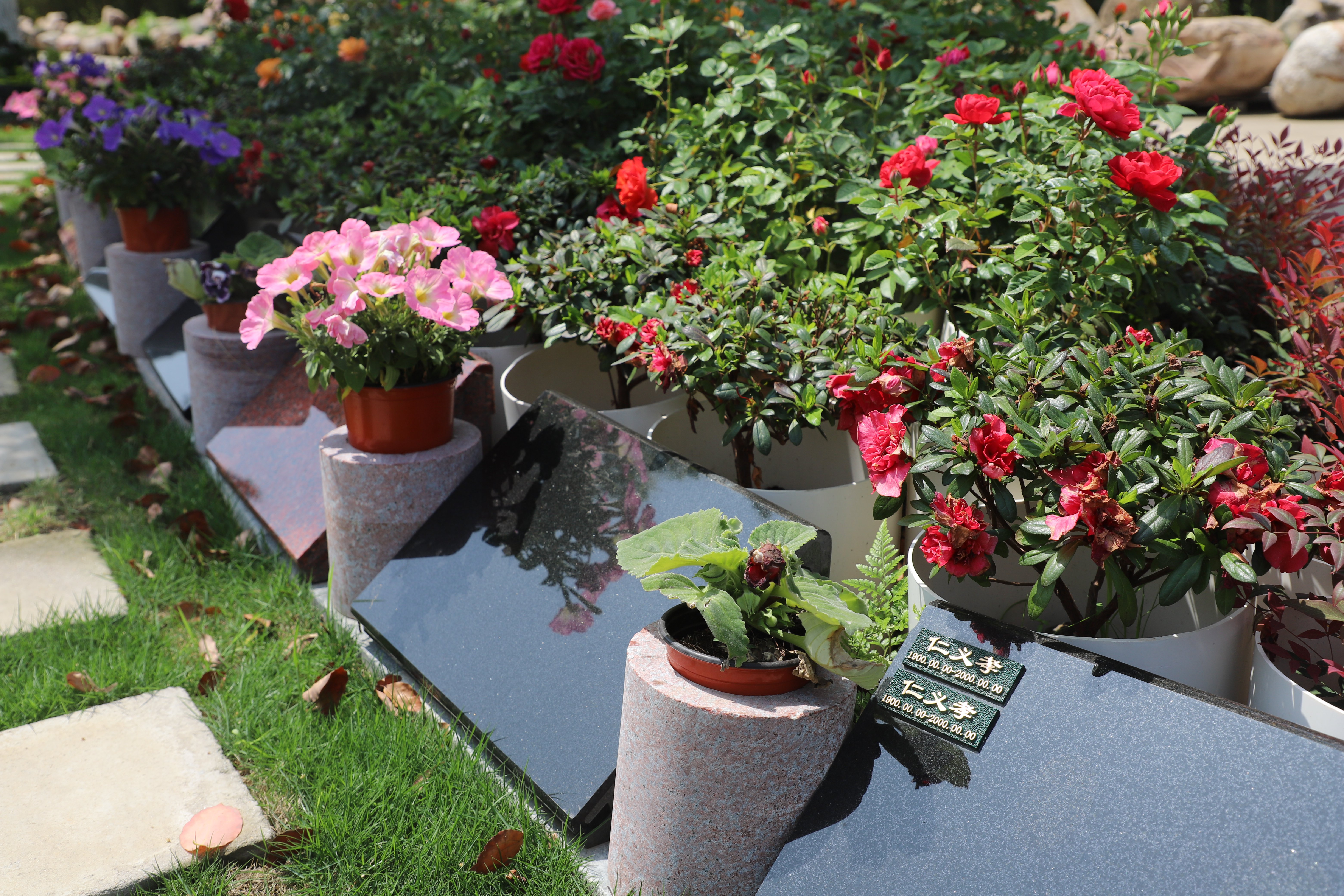 BC贷·(中国游)官方网站