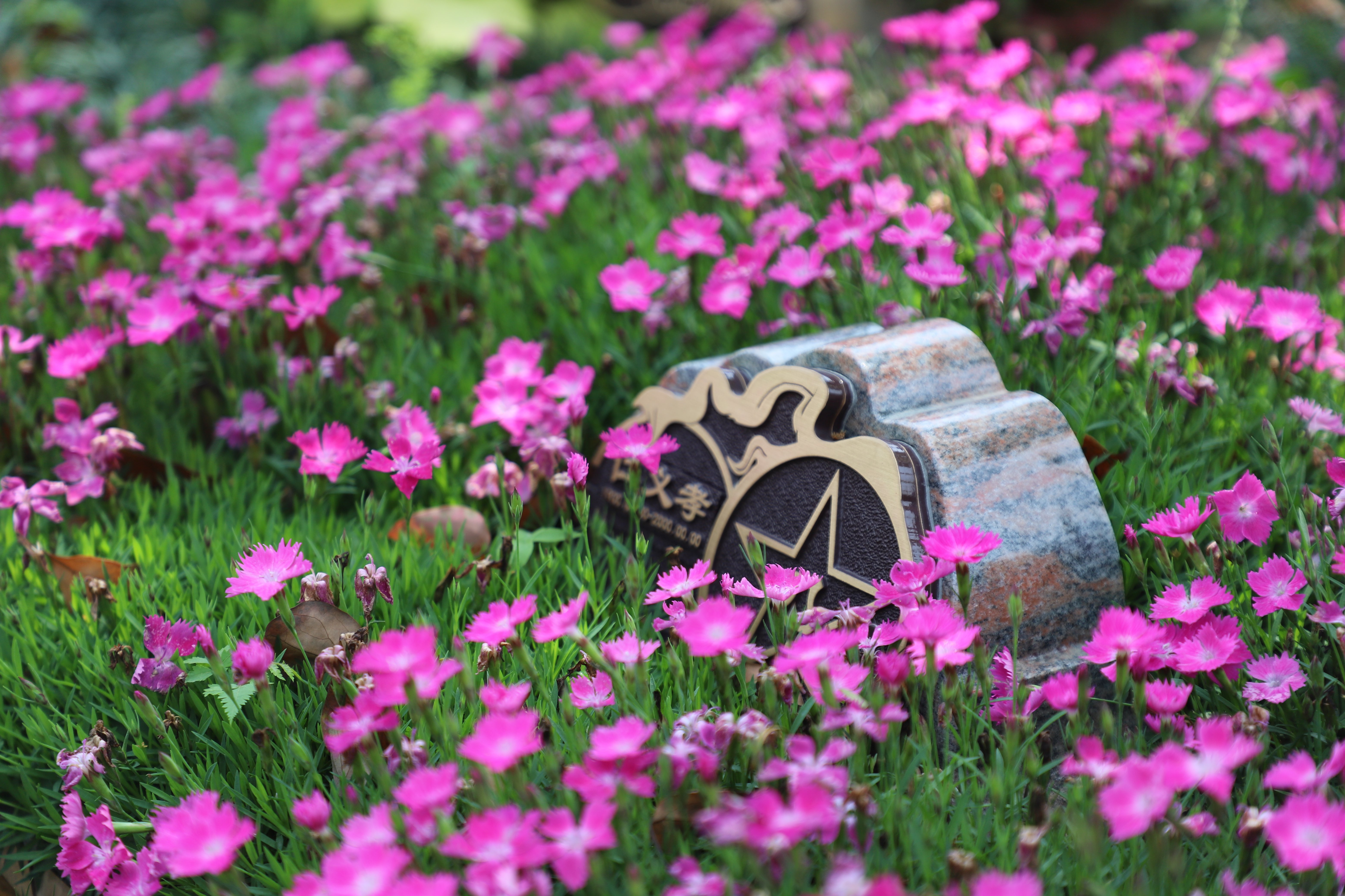 BC贷·(中国游)官方网站