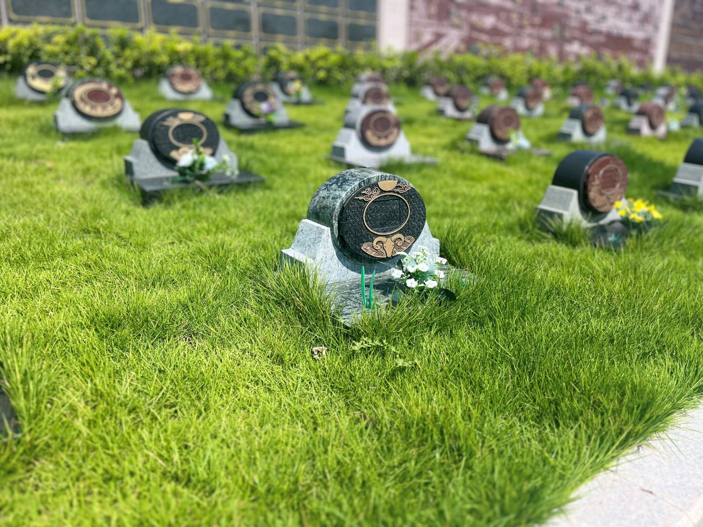 BC贷·(中国游)官方网站