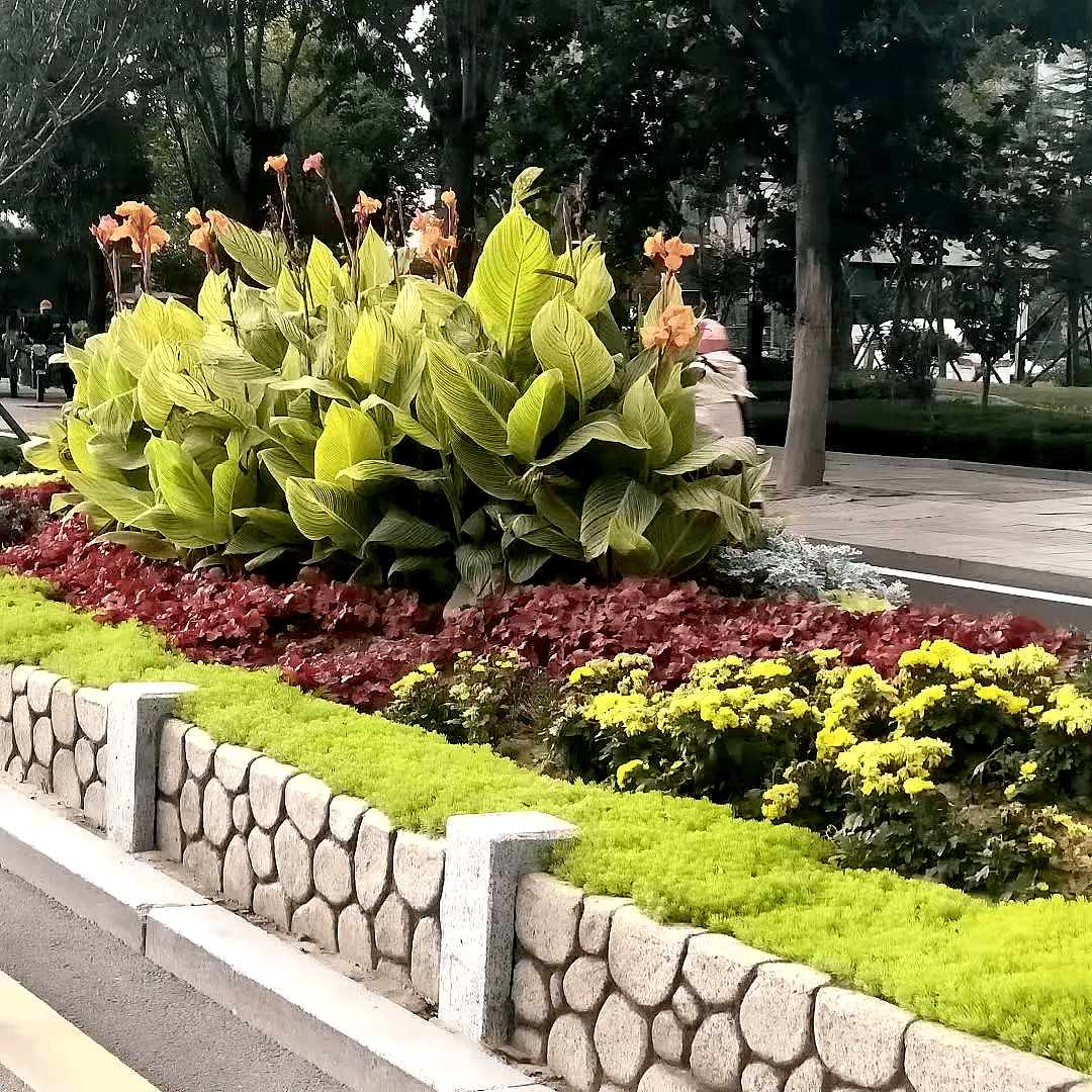 BC贷·(中国游)官方网站