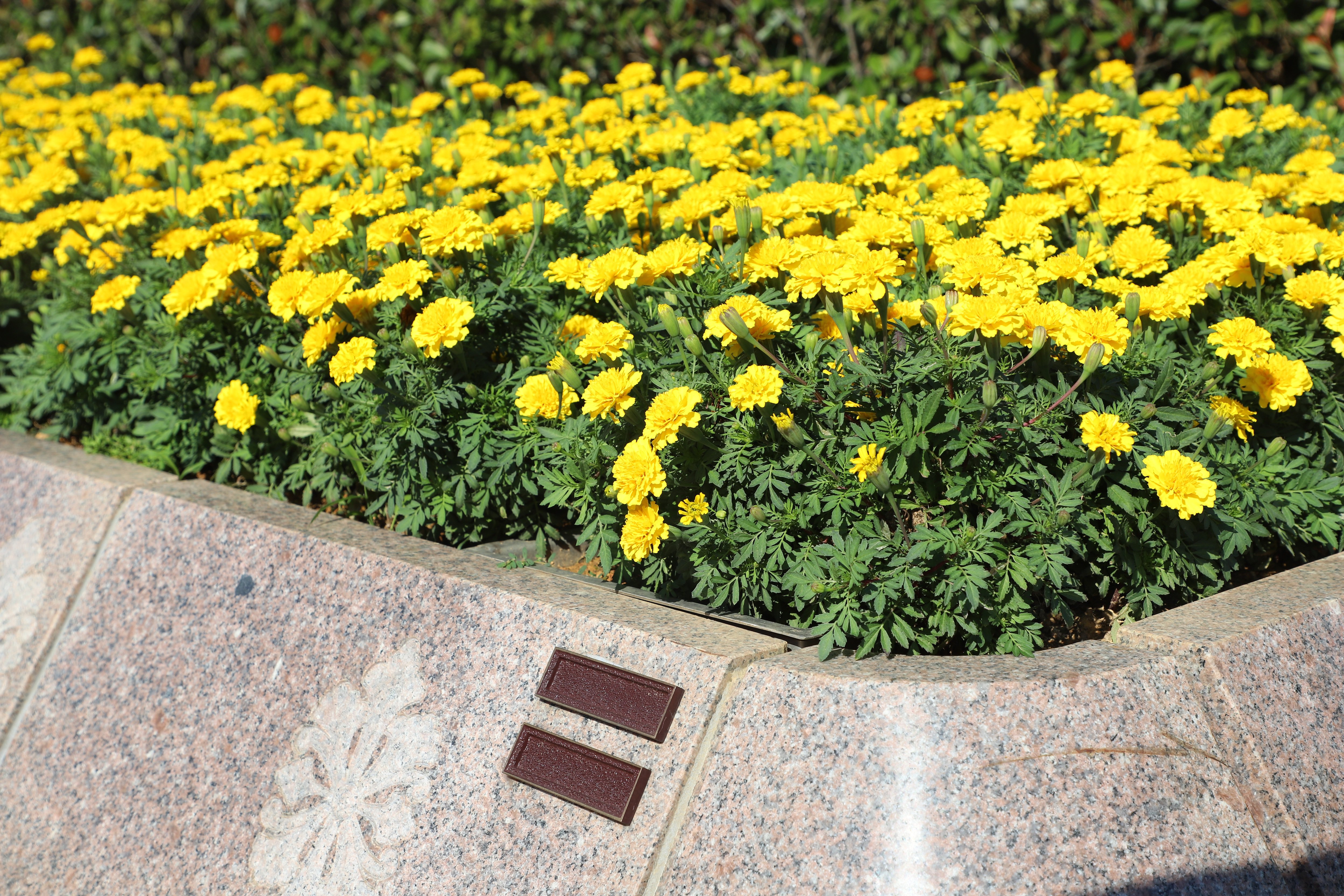 BC贷·(中国游)官方网站